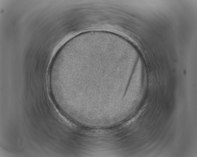 X0000066951517200604211802