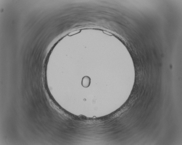 X0000066951518200604211802