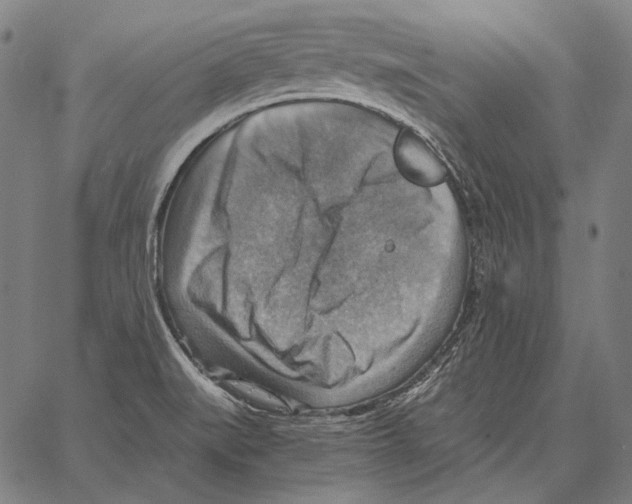 X0000066951519200604211802