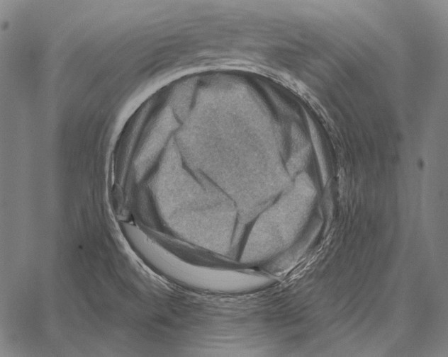 X0000066951520200604211802