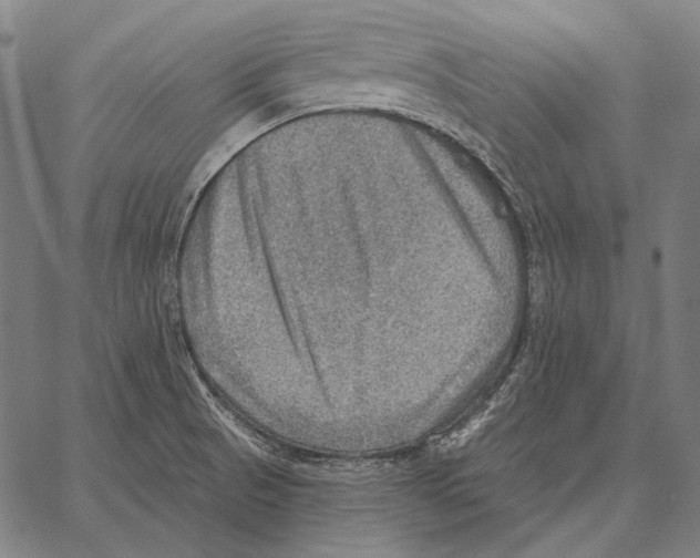 X0000066951521200604211802