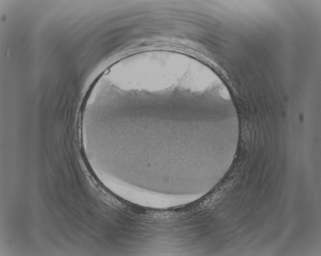 X0000066951522200604211802