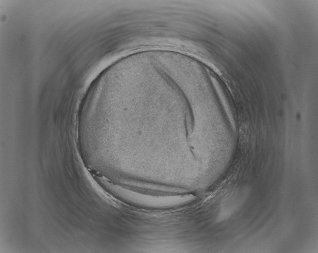 X0000066951523200604211802