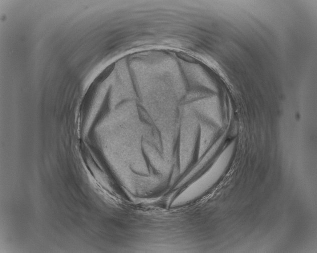 X0000066951524200604211802