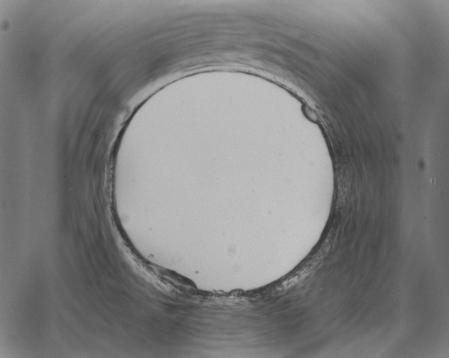 X0000066951526200604211802