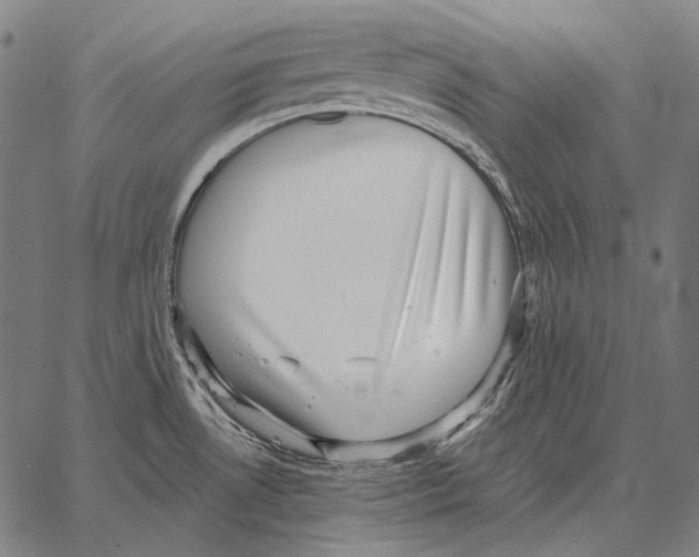 X0000066951530200604211802