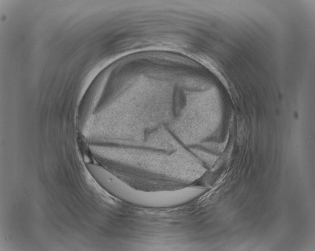 X0000066951532200604211802