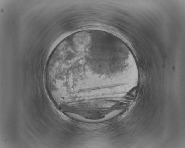 X0000066951533200604211802