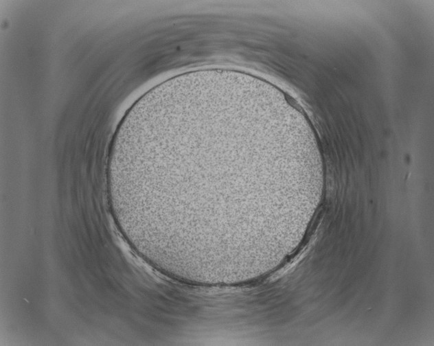 X0000066951534200604211802