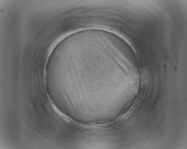 X0000066951535200604211802