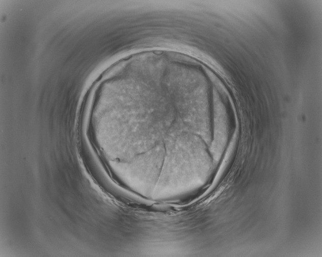 X0000066951536200604211802