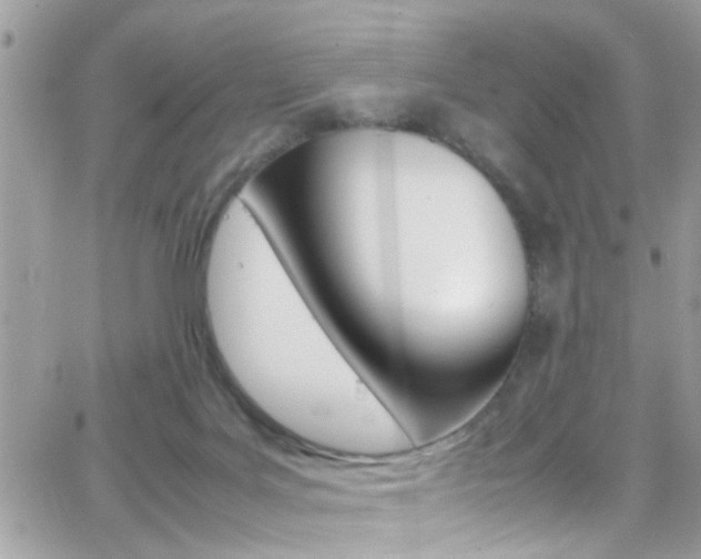 X0000066960027200603240947