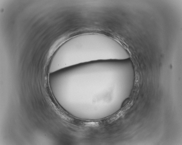 X0000066960053200603240945