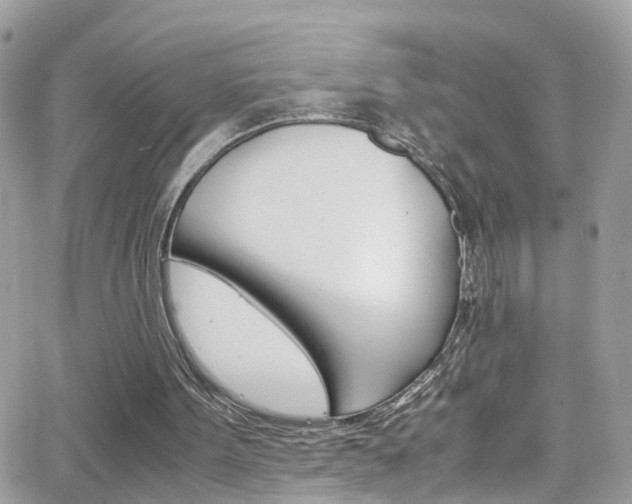 X0000066960099200603240945
