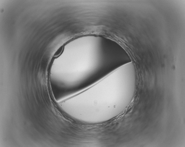 X0000066960100200603240945