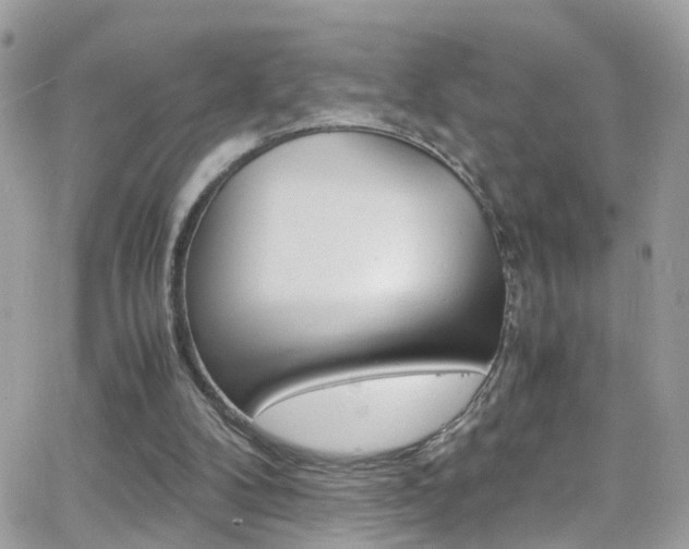 X0000066960104200603240945