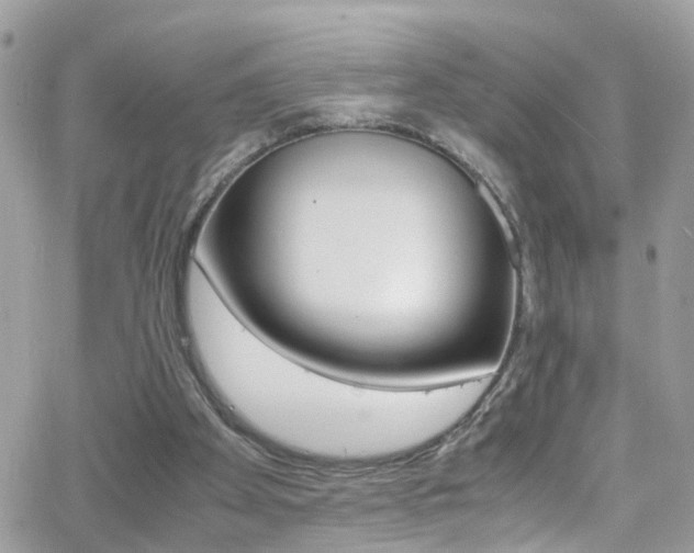 X0000066960105200603240945