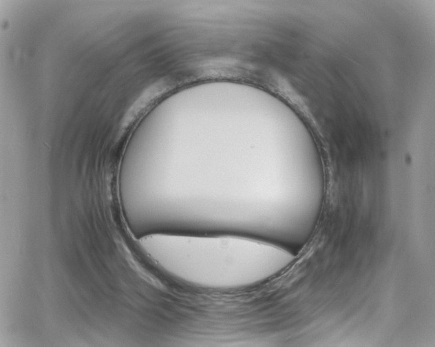 X0000066960106200603240945