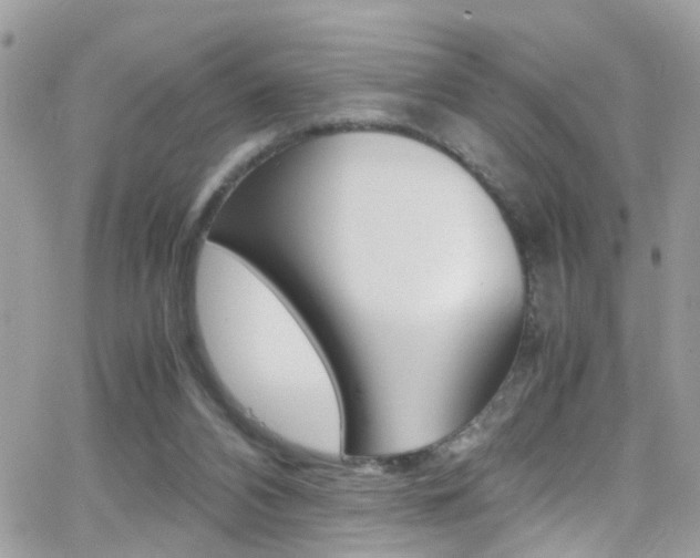 X0000066960112200603240945