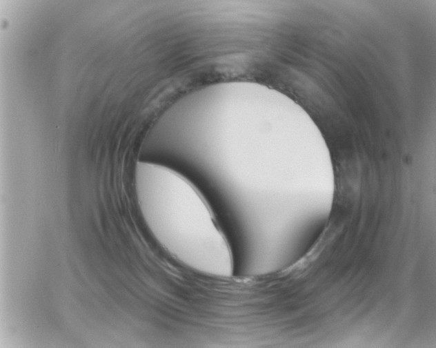 X0000066960136200603240945