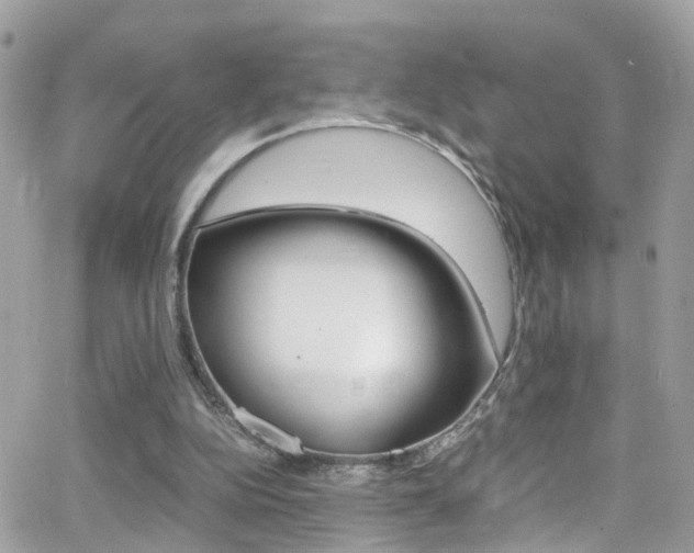 X0000066960152200603240944