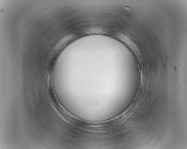 X0000066960157200603240944