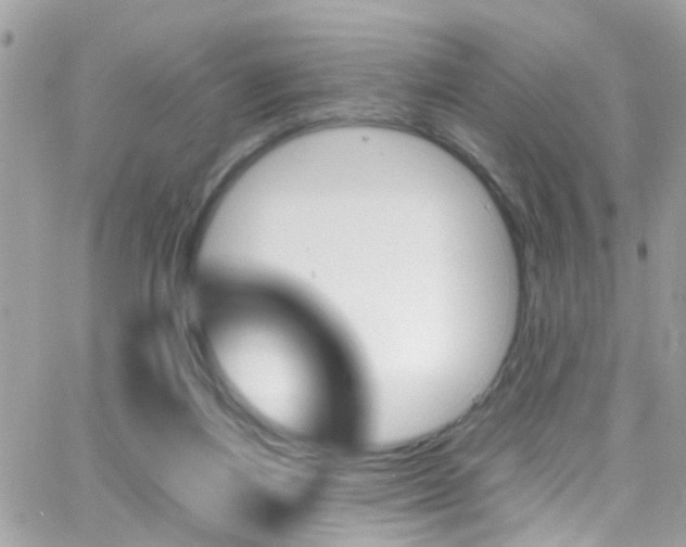 X0000066960164200603240944