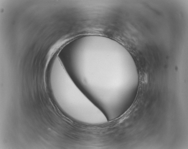 X0000066960294200603240942