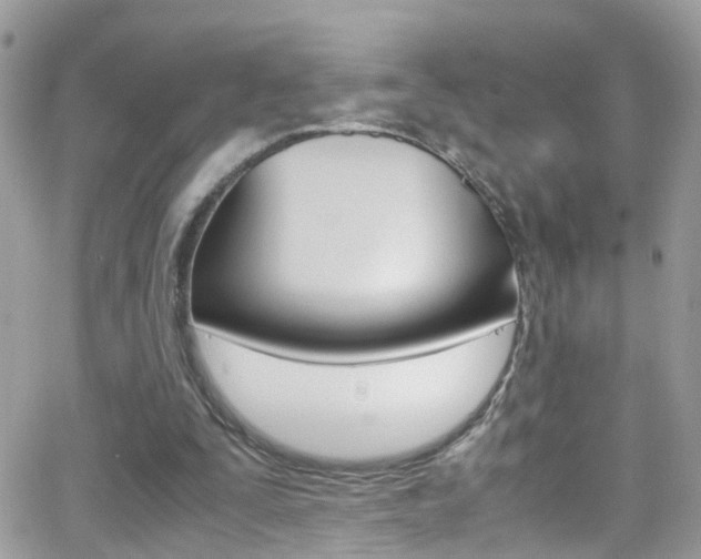 X0000066960295200603240942