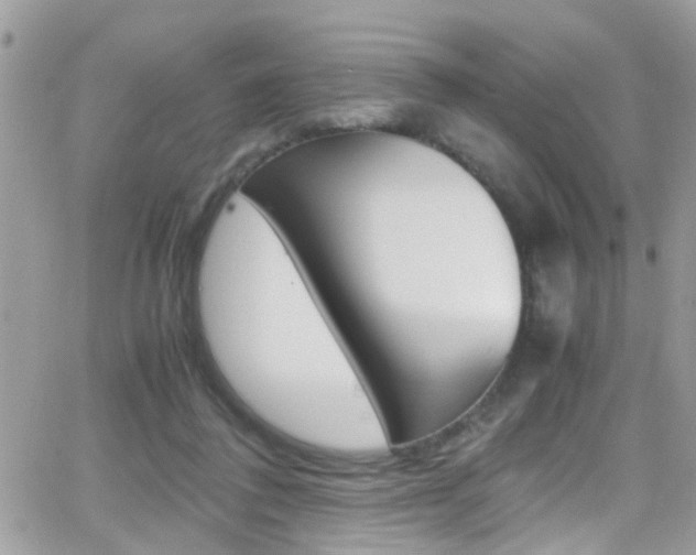 X0000066960308200603240942