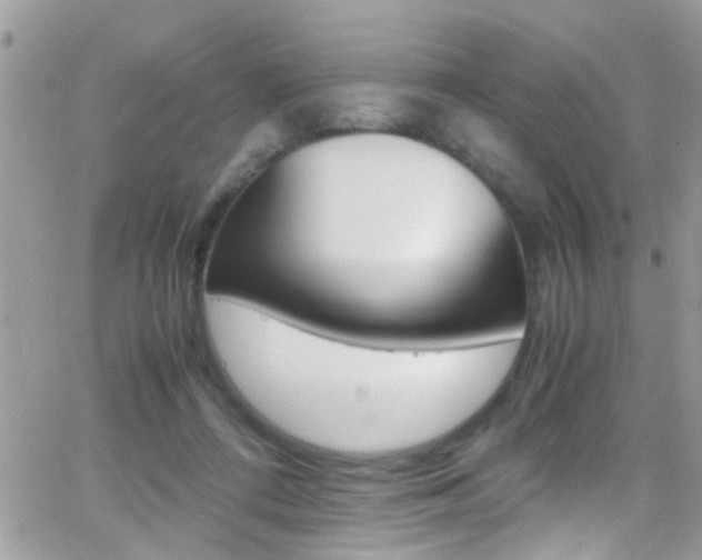 X0000066960312200603240942