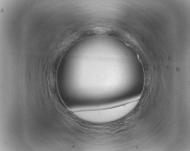 X0000066960317200603240942