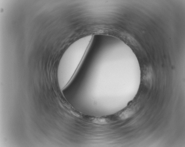 X0000066960332200603240942