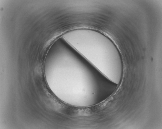 X0000066960345200603240941