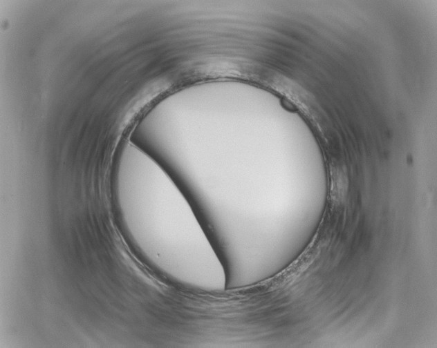 X0000066960390200603240941