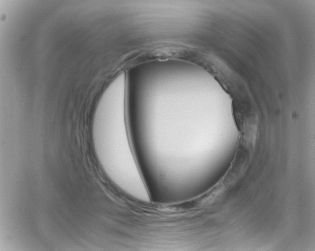 X0000066960413200603240940