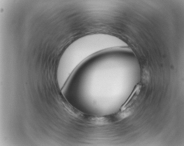 X0000066960428200603240940
