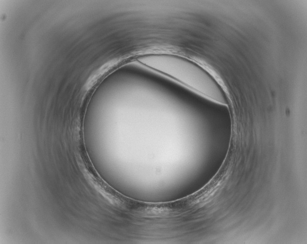 X0000066960437200603240939