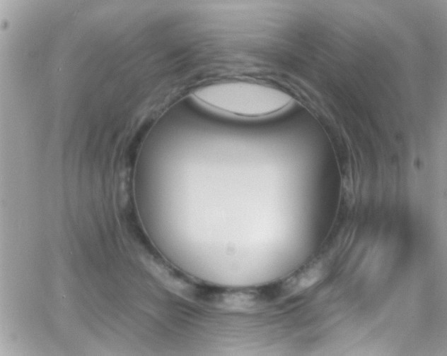 X0000066960462200603240940