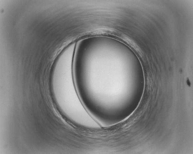 X0000066960485200603240939