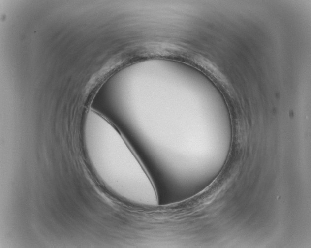 X0000066960489200603240939