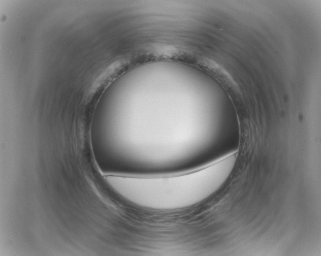 X0000066960496200603240939