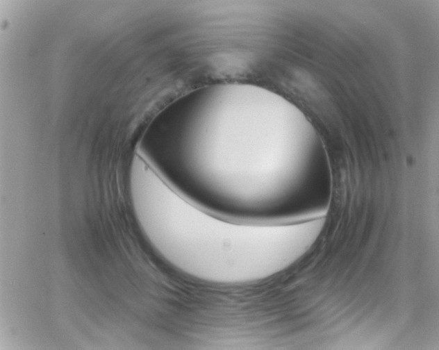 X0000066960508200603240939