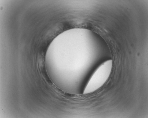 X0000066960515200603240939