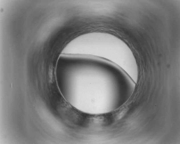 X0000066960525200603240938