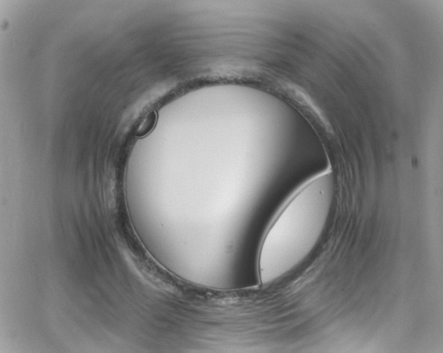 X0000066960588200603240937