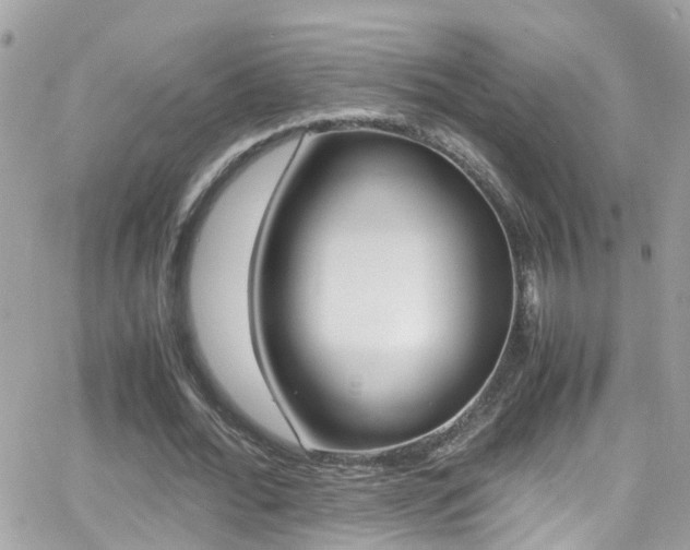 X0000066960676200603240936