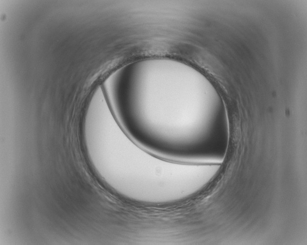 X0000066960681200603240936