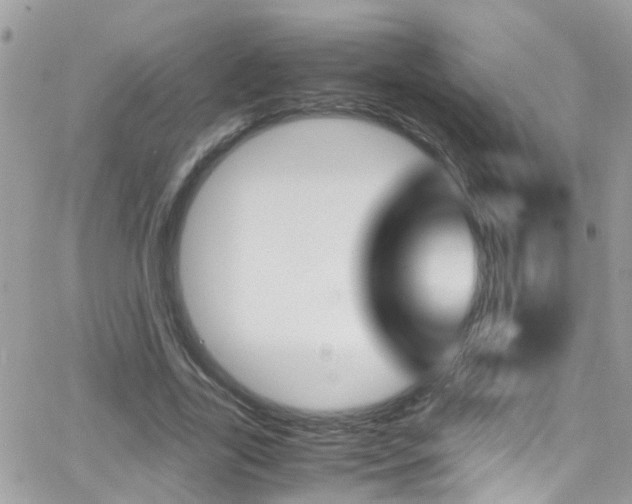 X0000066960731200603240935