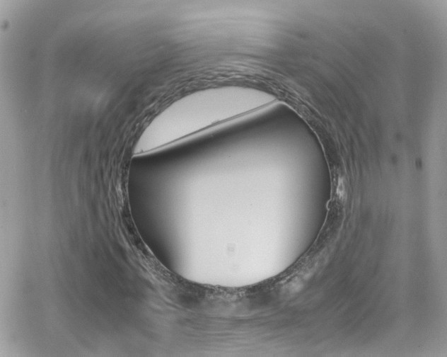 X0000066960771200603240934